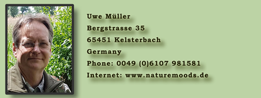 Uwe Müller - Contact information