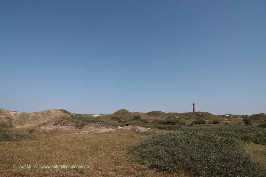 Norderney