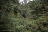 Caminho dos Pretos (Madeira)