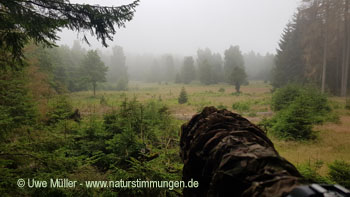 National Park Harz 2021