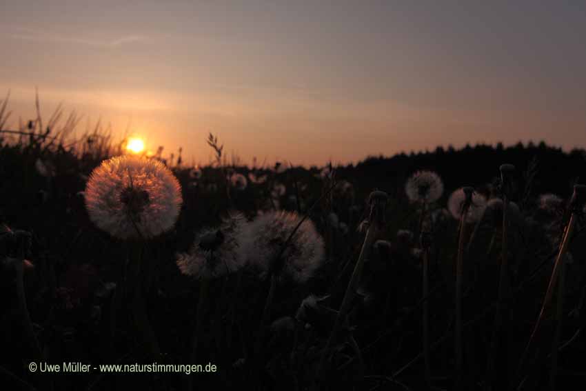 Sonnenaufgang