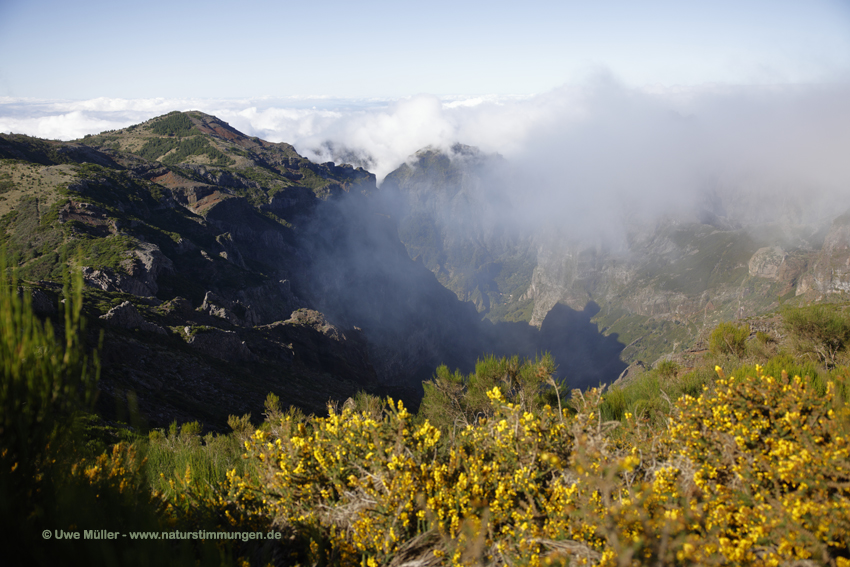 Pico Ruivo (Madeira)