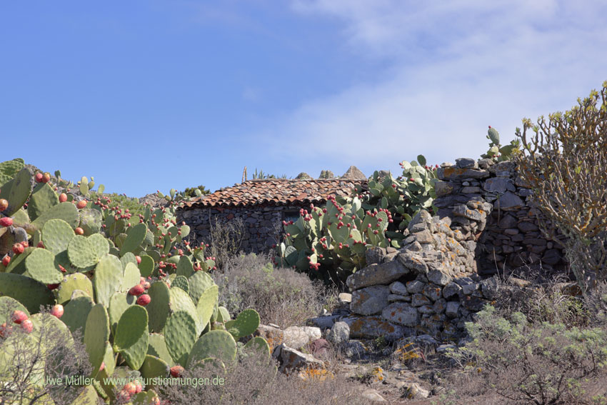 Teno Alto auf Teneriffa (Kanaren, Spanien)