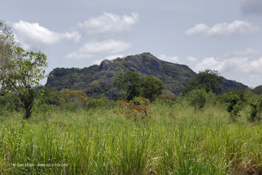 Karandagaswewa