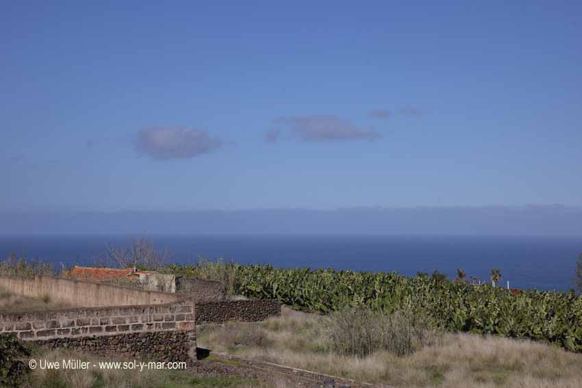 Puerto de la Cruz