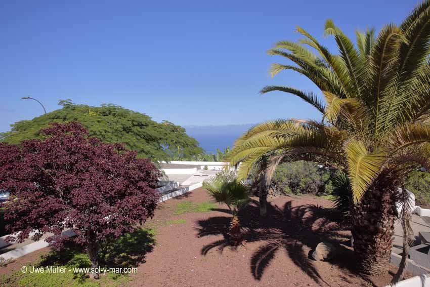 Puerto de la Cruz